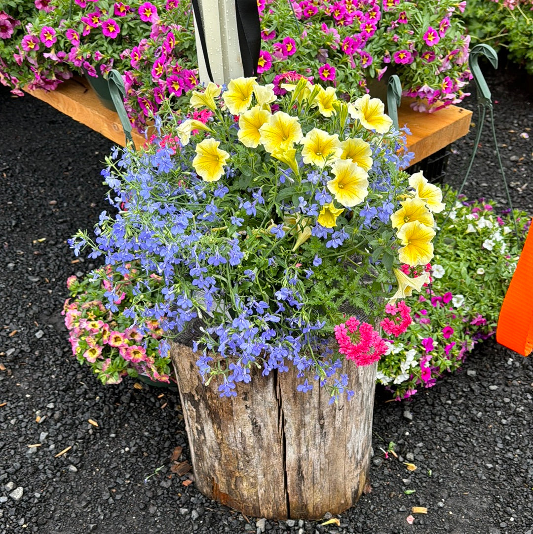 Hanging Basket