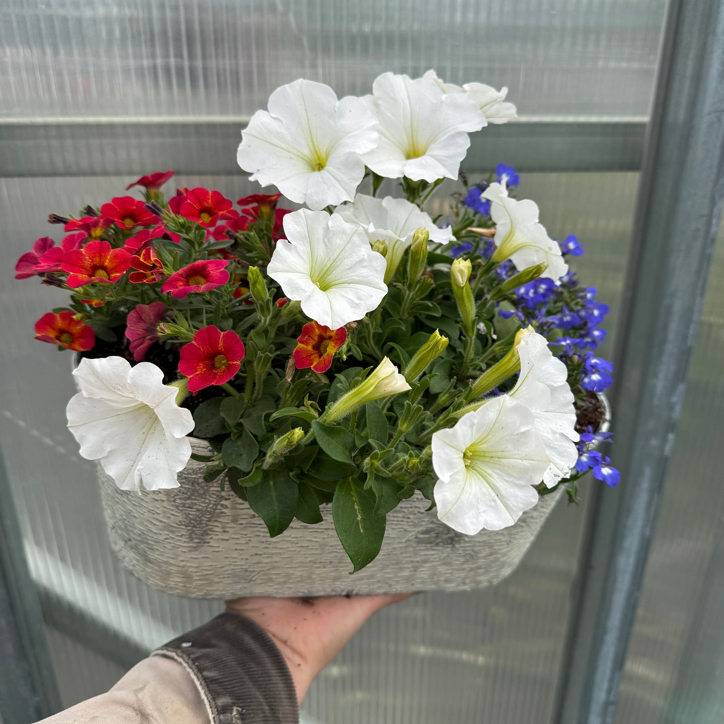 Flowering Pots