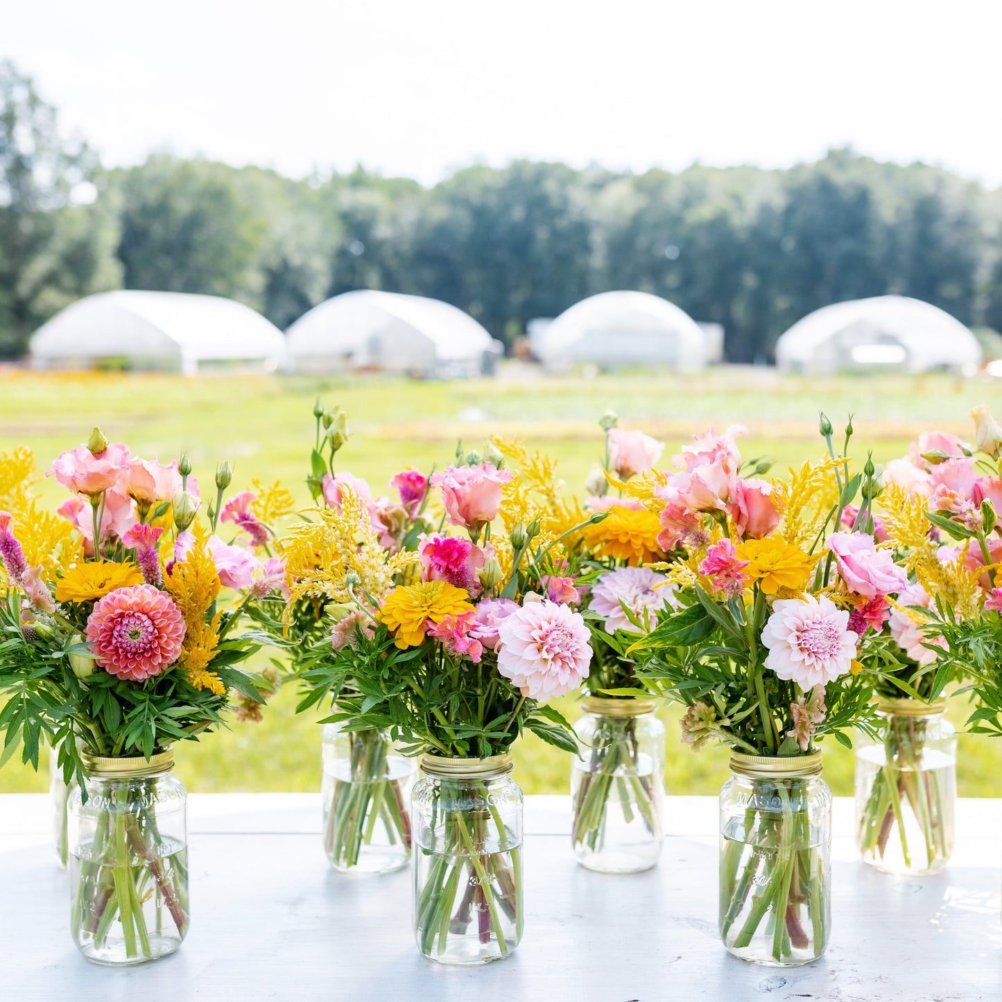 Jar Arrangement