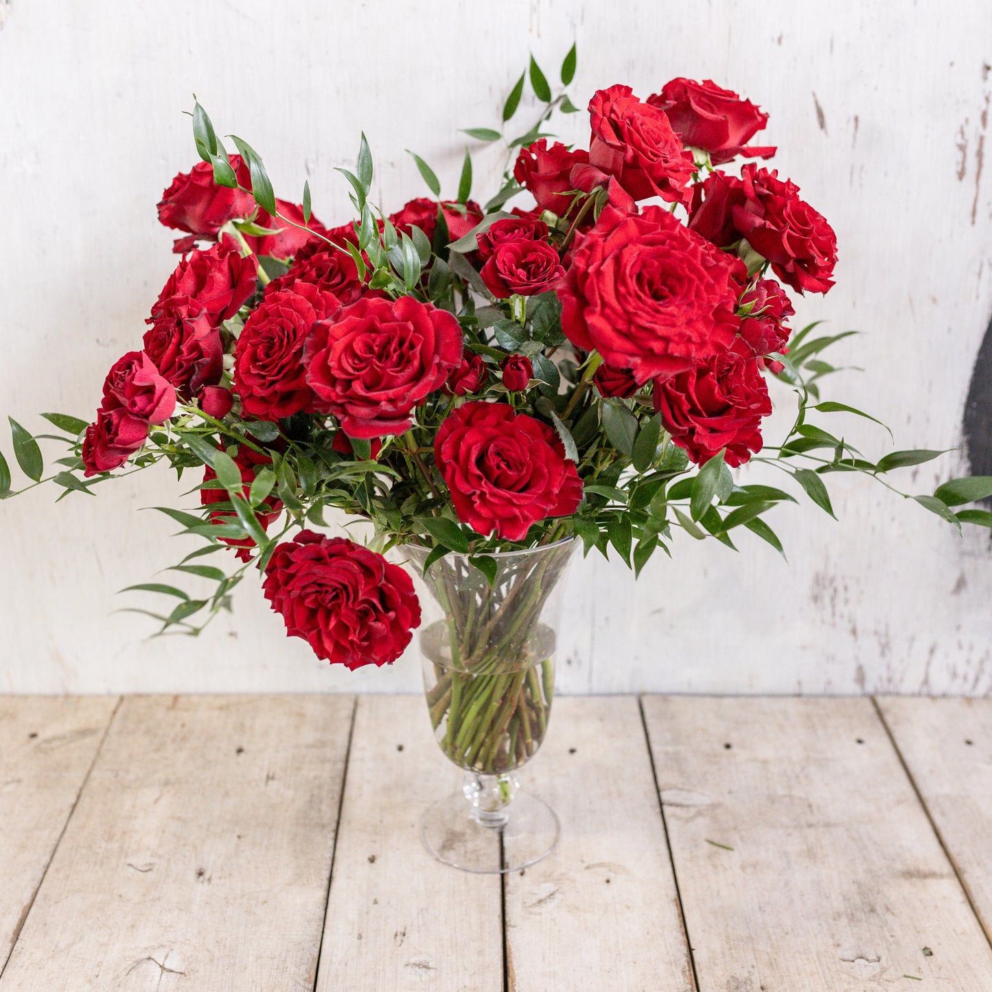 Red Gaarden Roses x12
