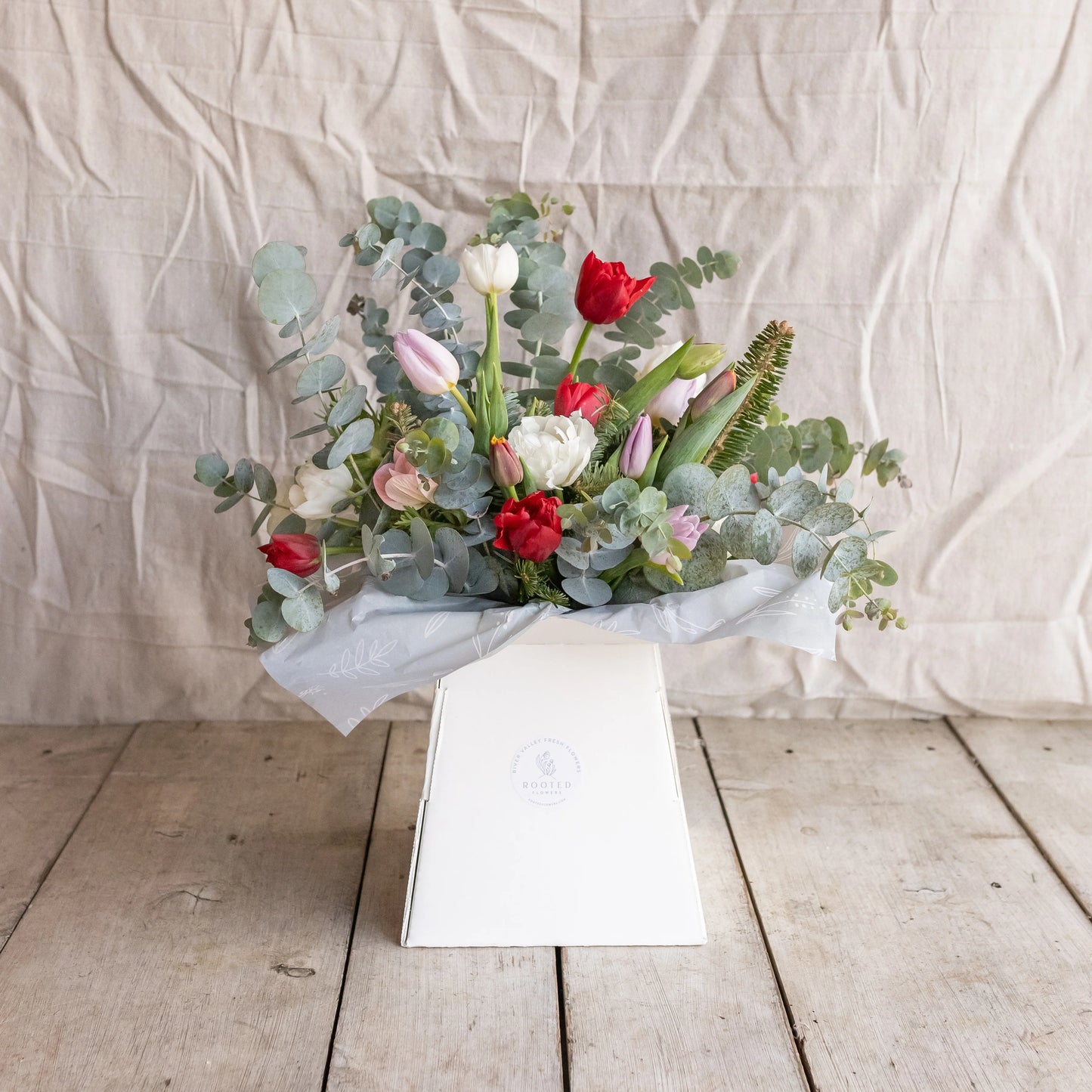 Valentine's Day Special + Sweet Treat