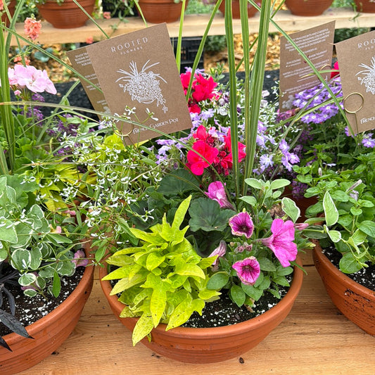French Garden Pot