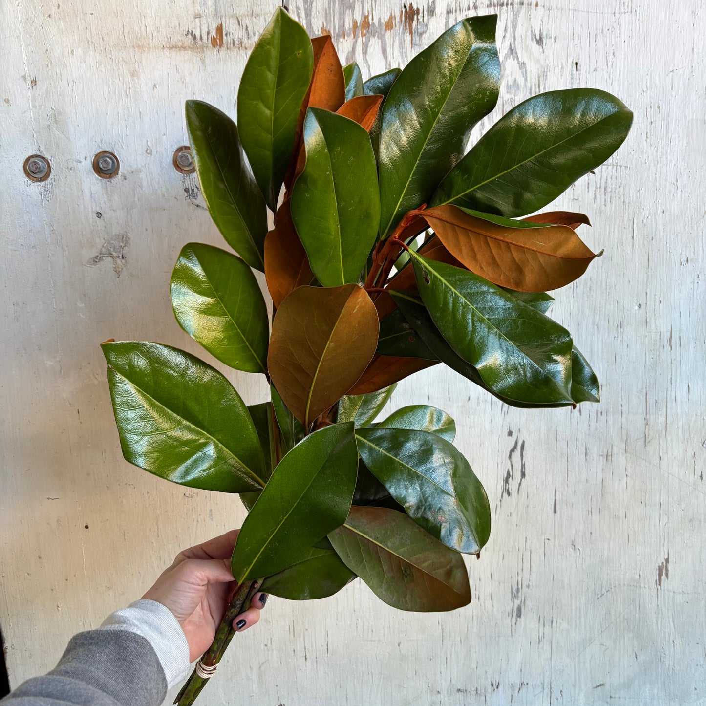 A La Carte Holiday Decor