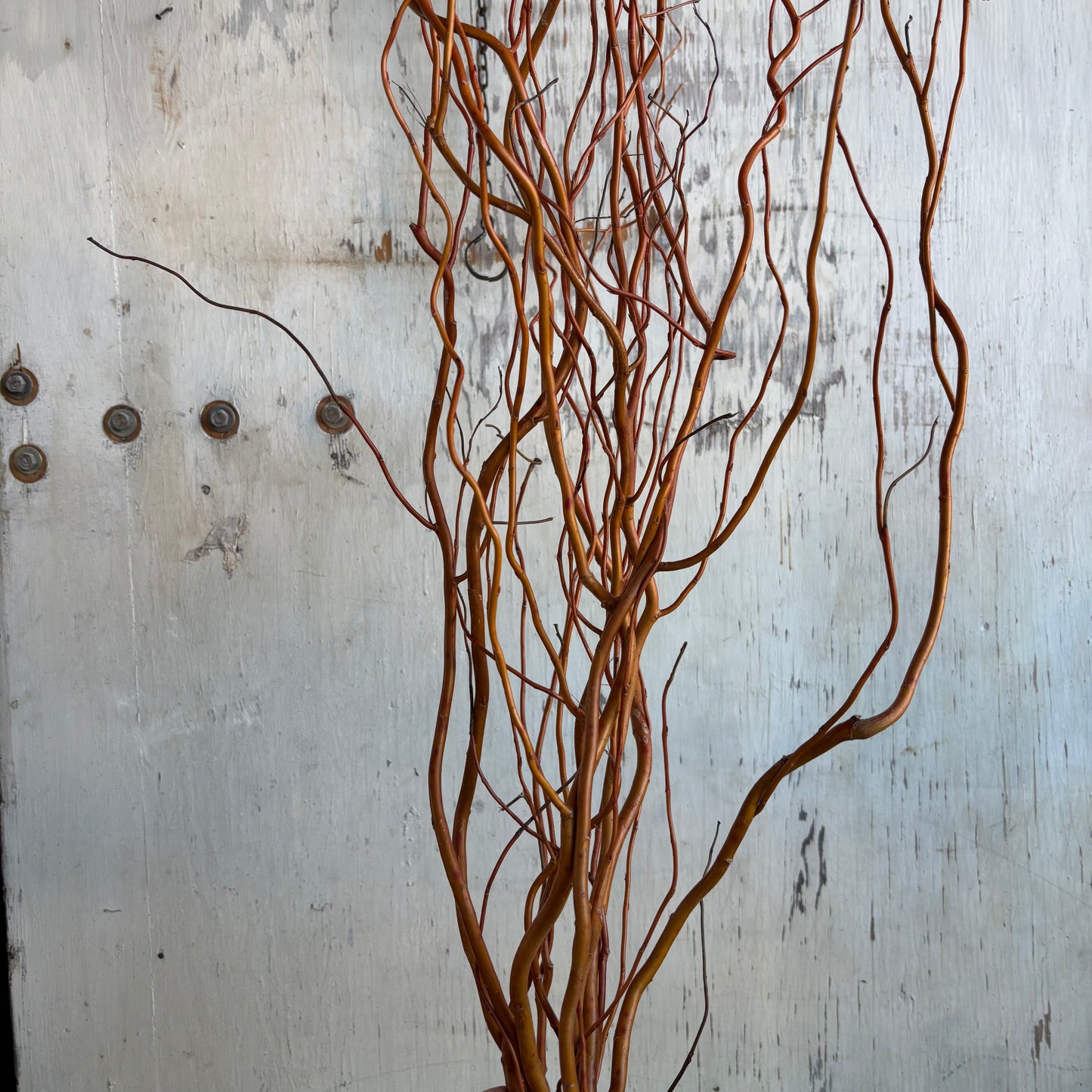 A La Carte Holiday Decor