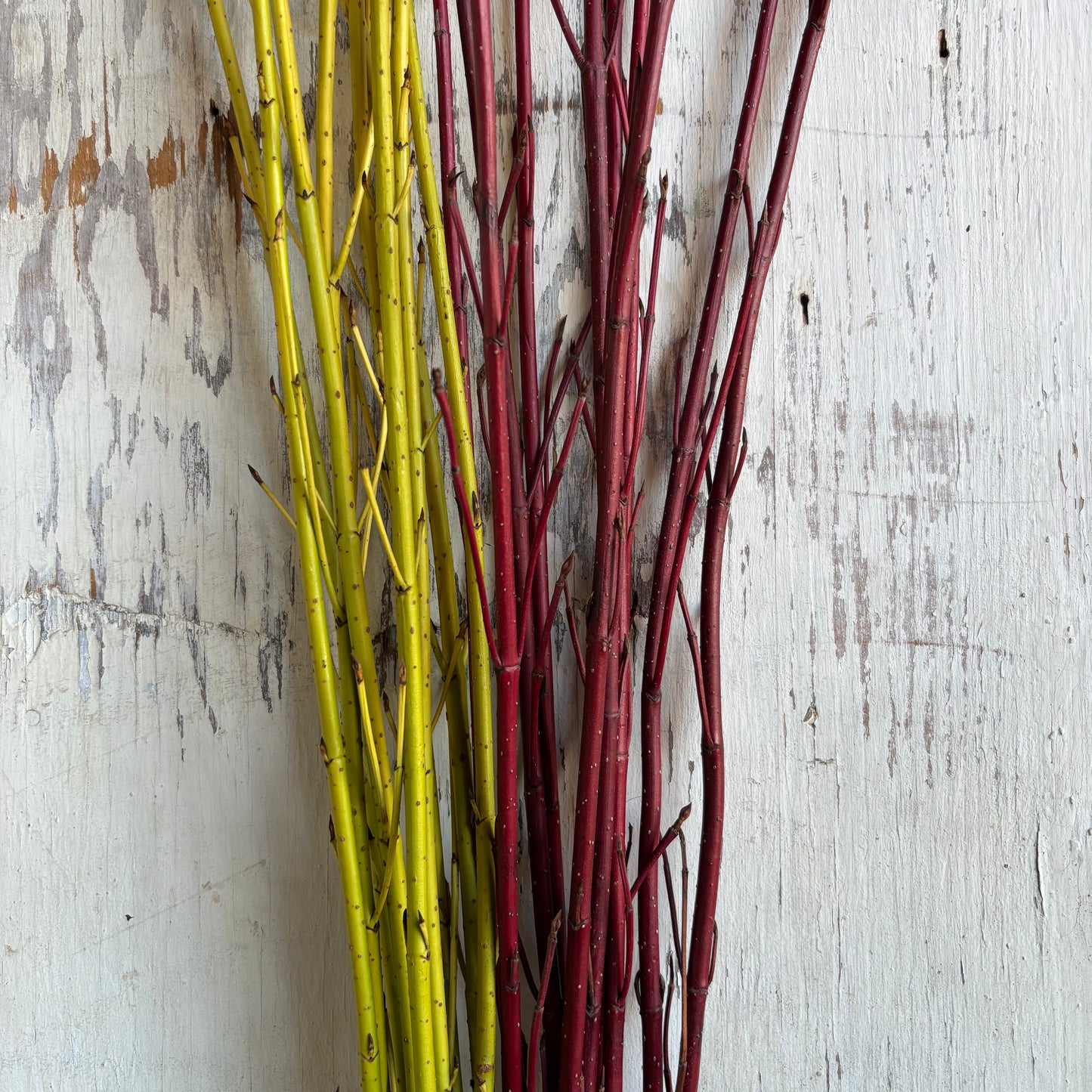 A La Carte Holiday Decor