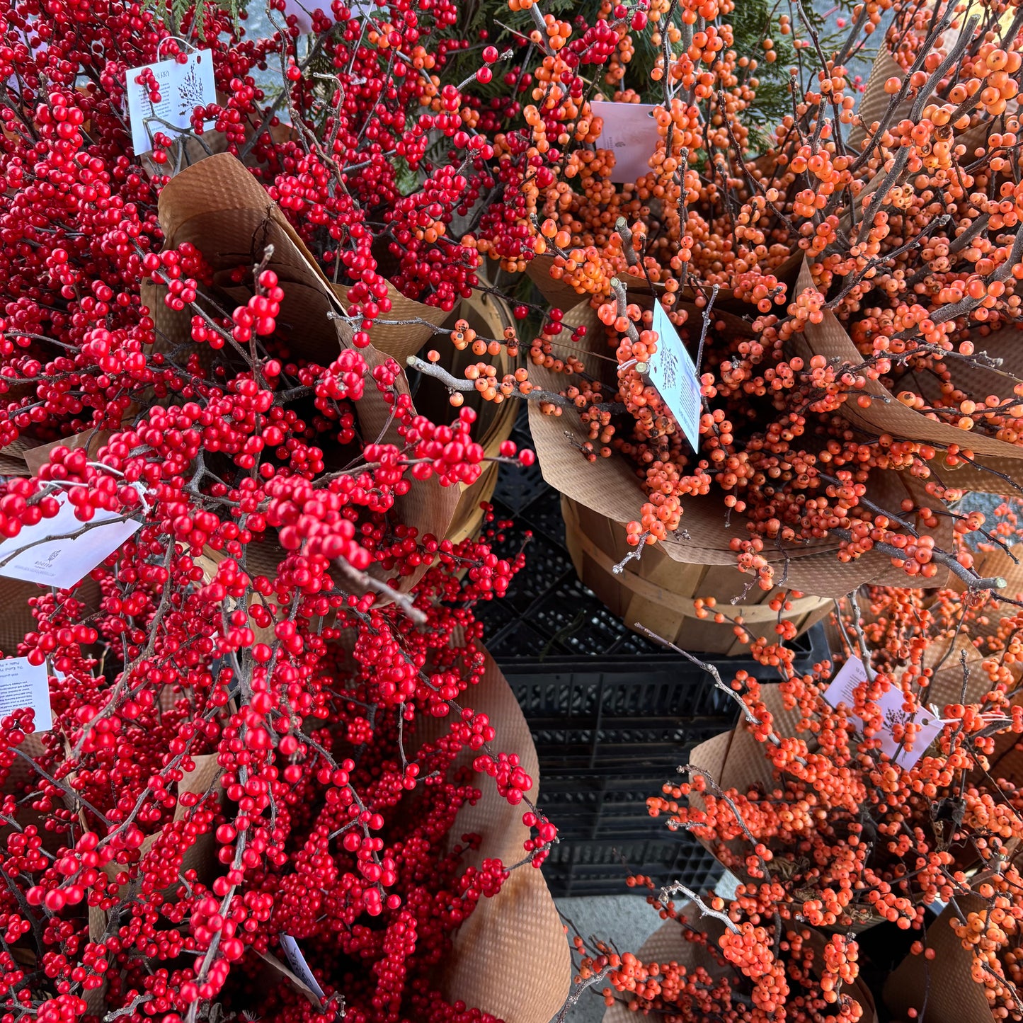 A La Carte Holiday Decor