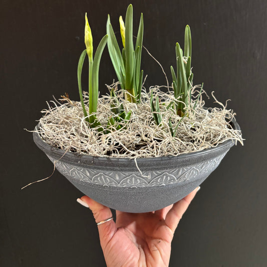 Blooming Bowl