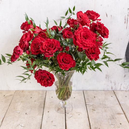 Red Gaarden Roses x12